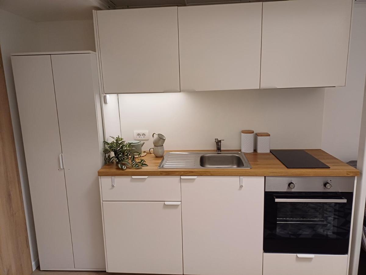Apartment Afrodita Ljubljana Eksteriør billede